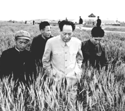 毛泽东与调查研究
